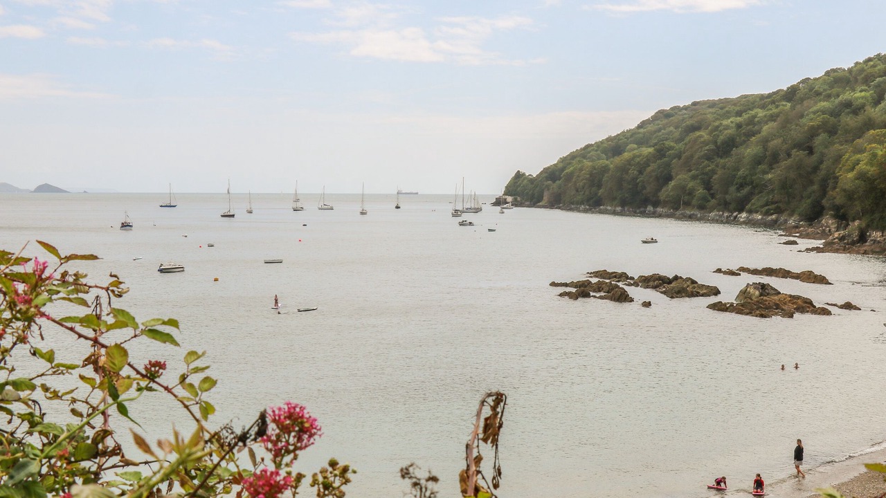 Photo of Outdoor in Cawsand