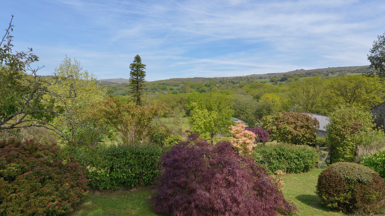 Photo of Others in Yelverton