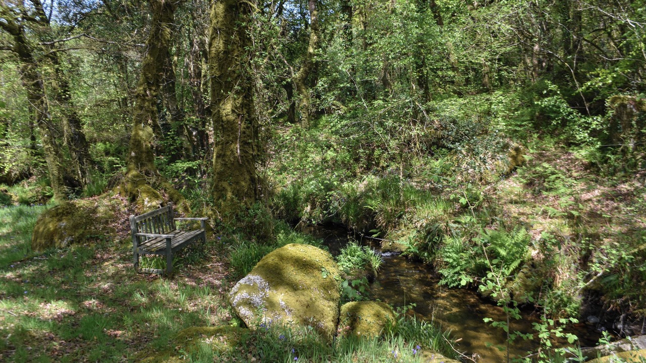 Photo of Others in Yelverton