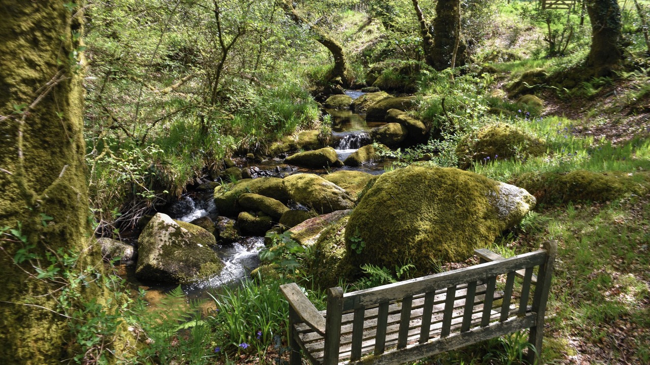 Photo of Others in Yelverton