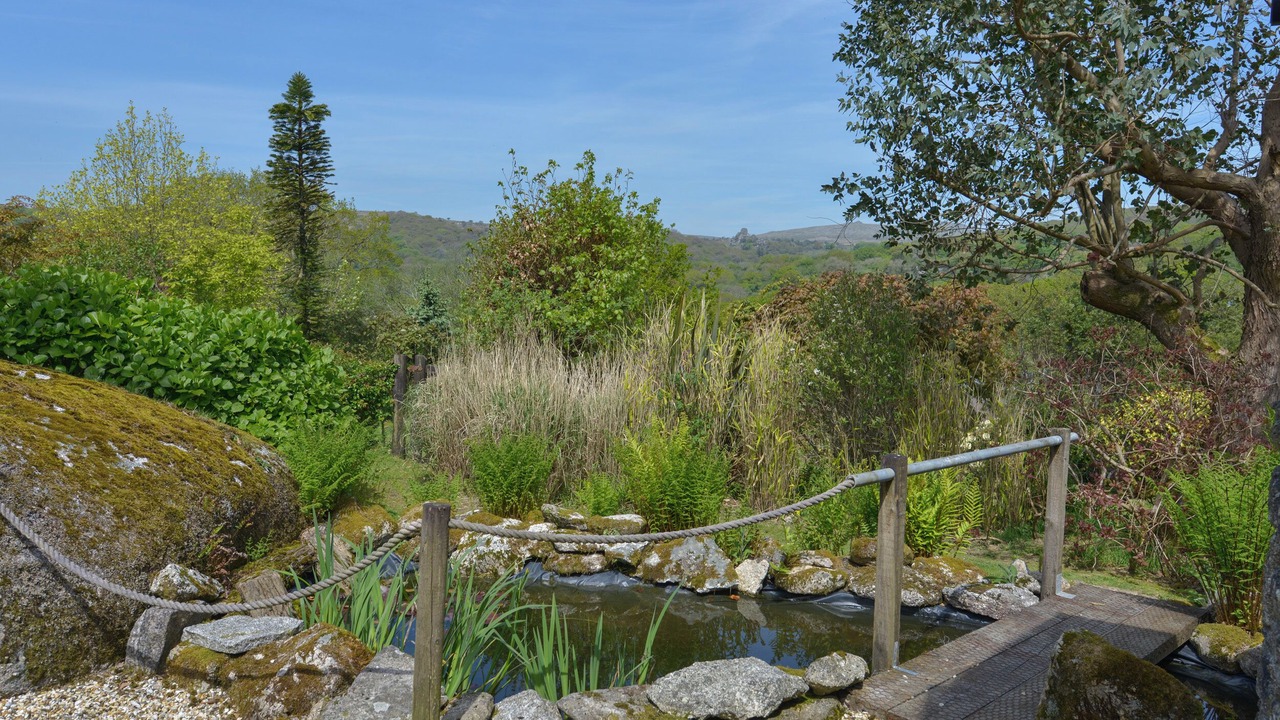 Photo of Others in Yelverton