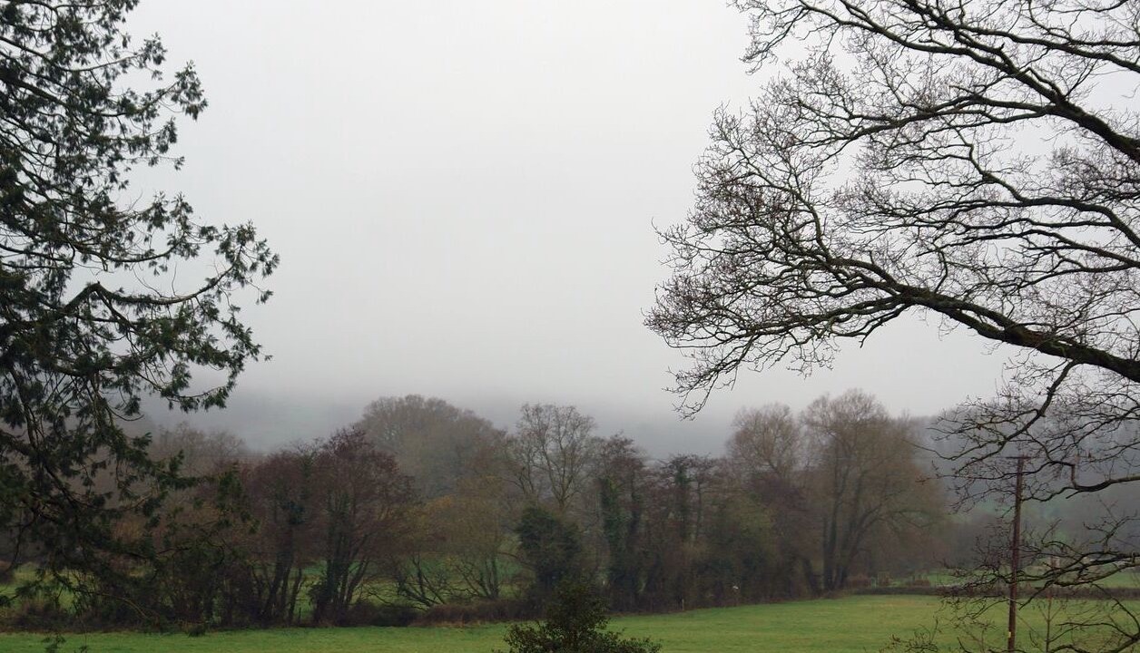 Photo of Others in Honiton