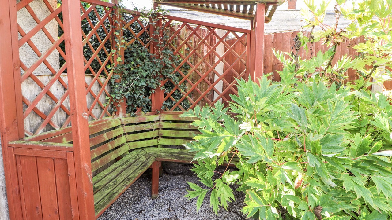 Photo of Others in Dyserth