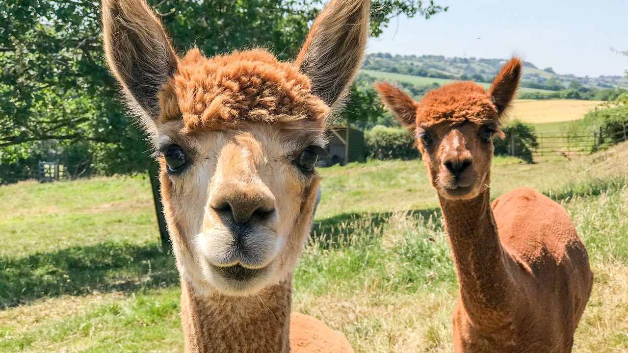 Photo of Others in Witton Gilbert