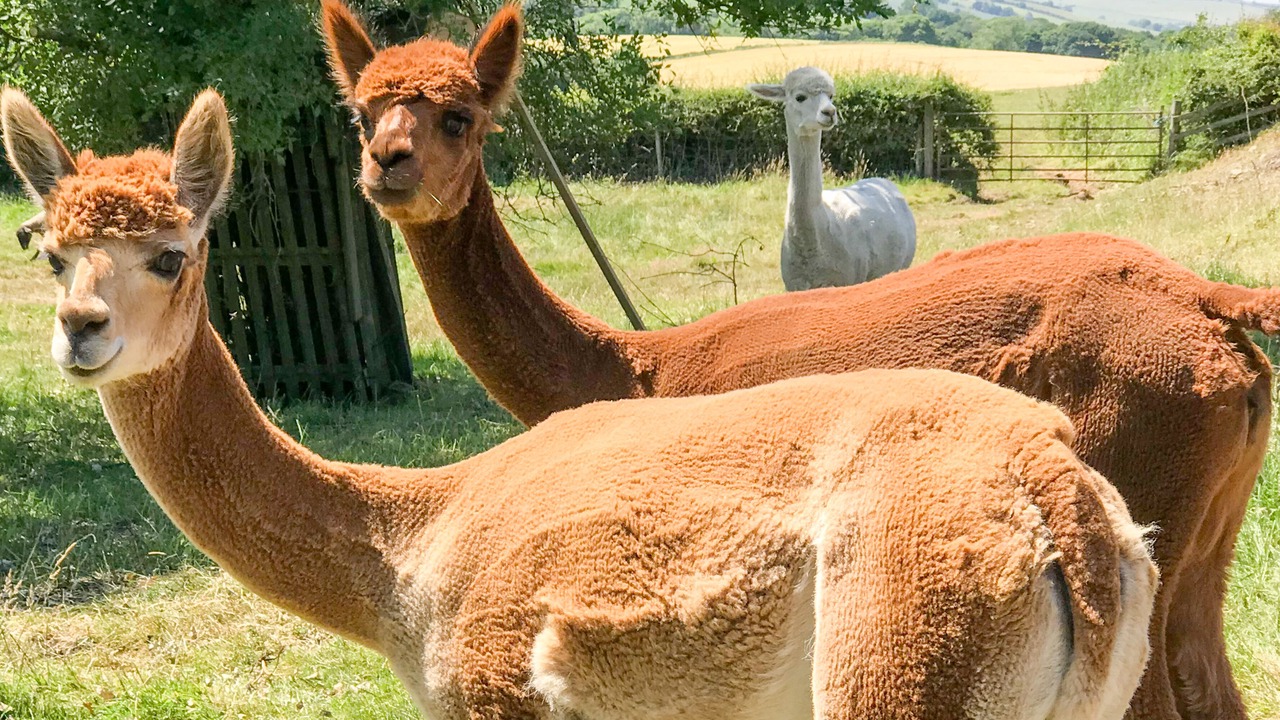 Photo of Others in Witton Gilbert