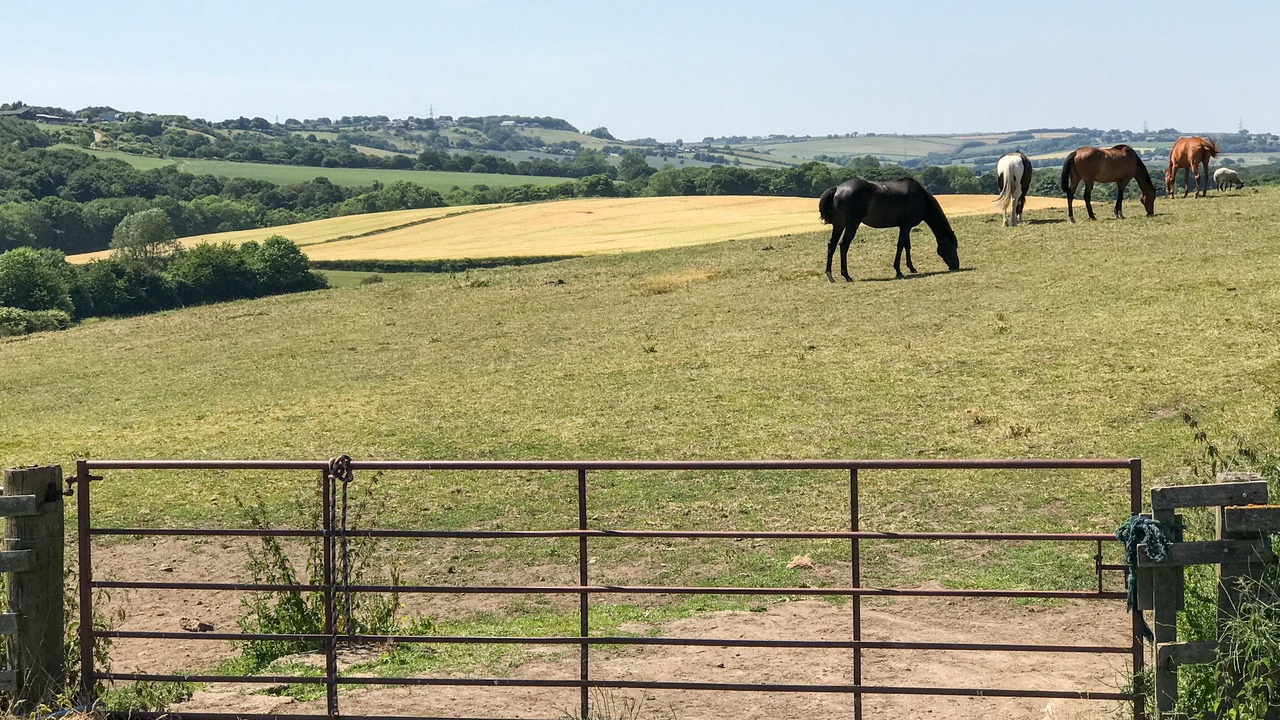 Photo of Others in Witton Gilbert