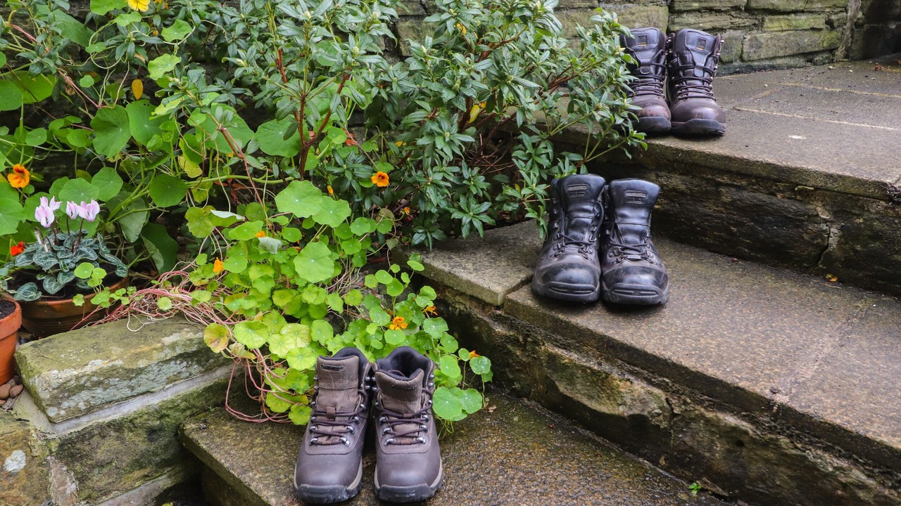 Photo of Others in Haworth