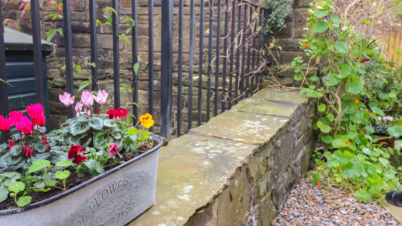 Photo of Others in Haworth