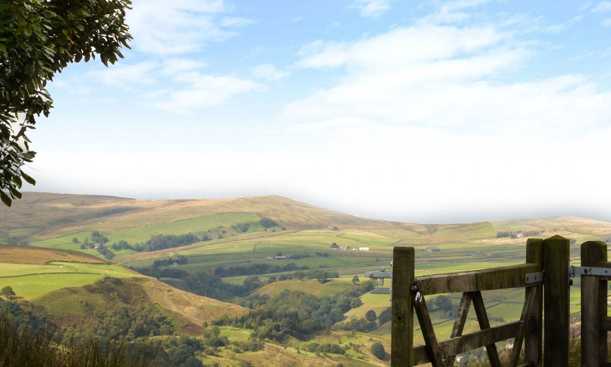 Photo of Others in Haworth