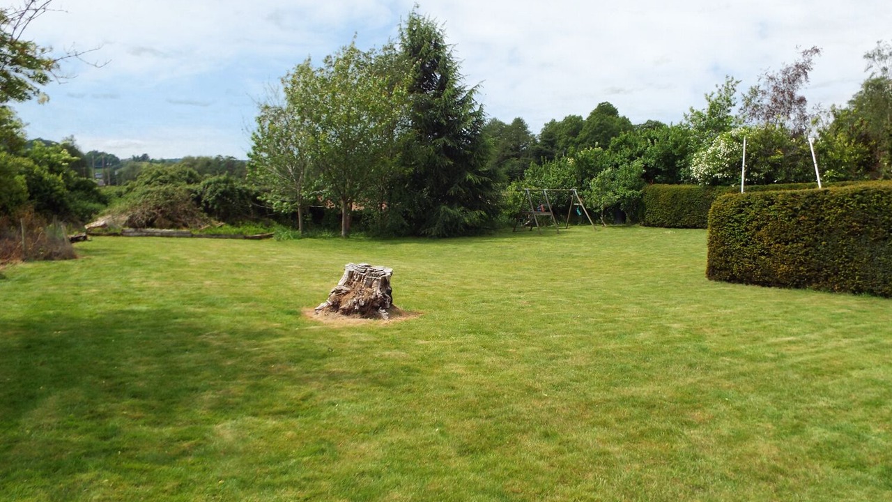 Photo of Others in Walford