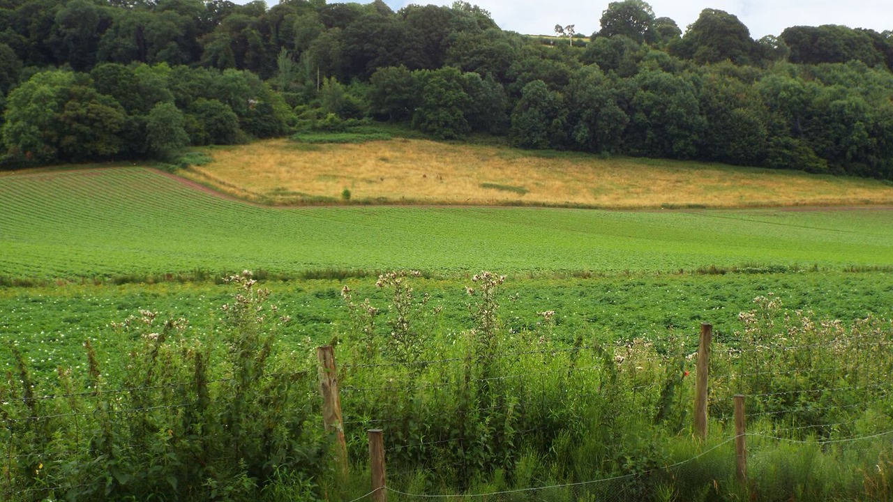 Photo of Others in Walford