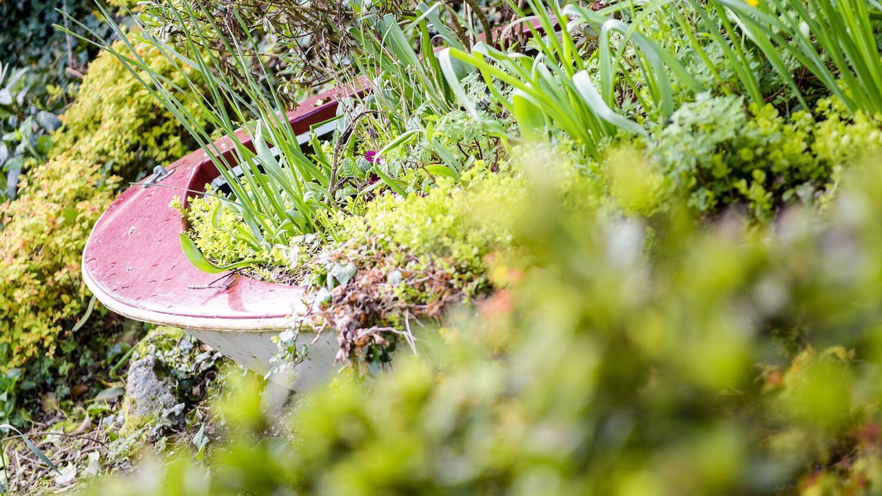 Photo of Others in Penwithick