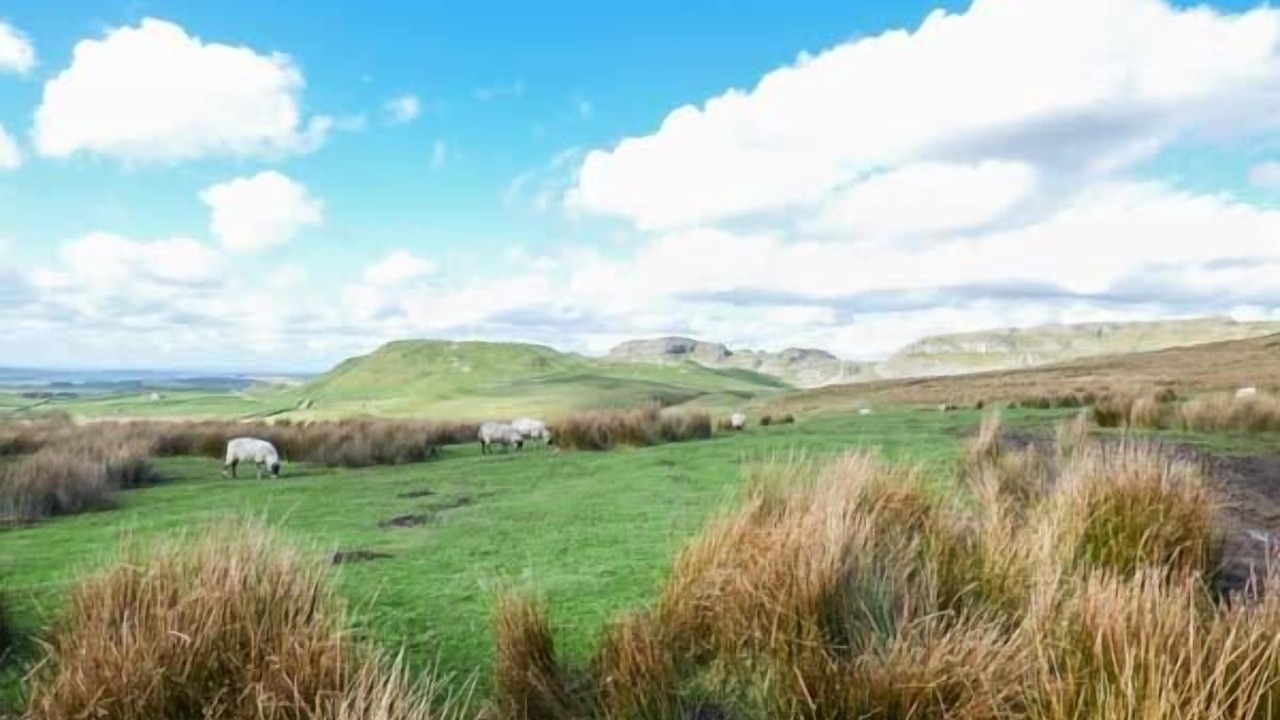 Photo of Others in Lothersdale