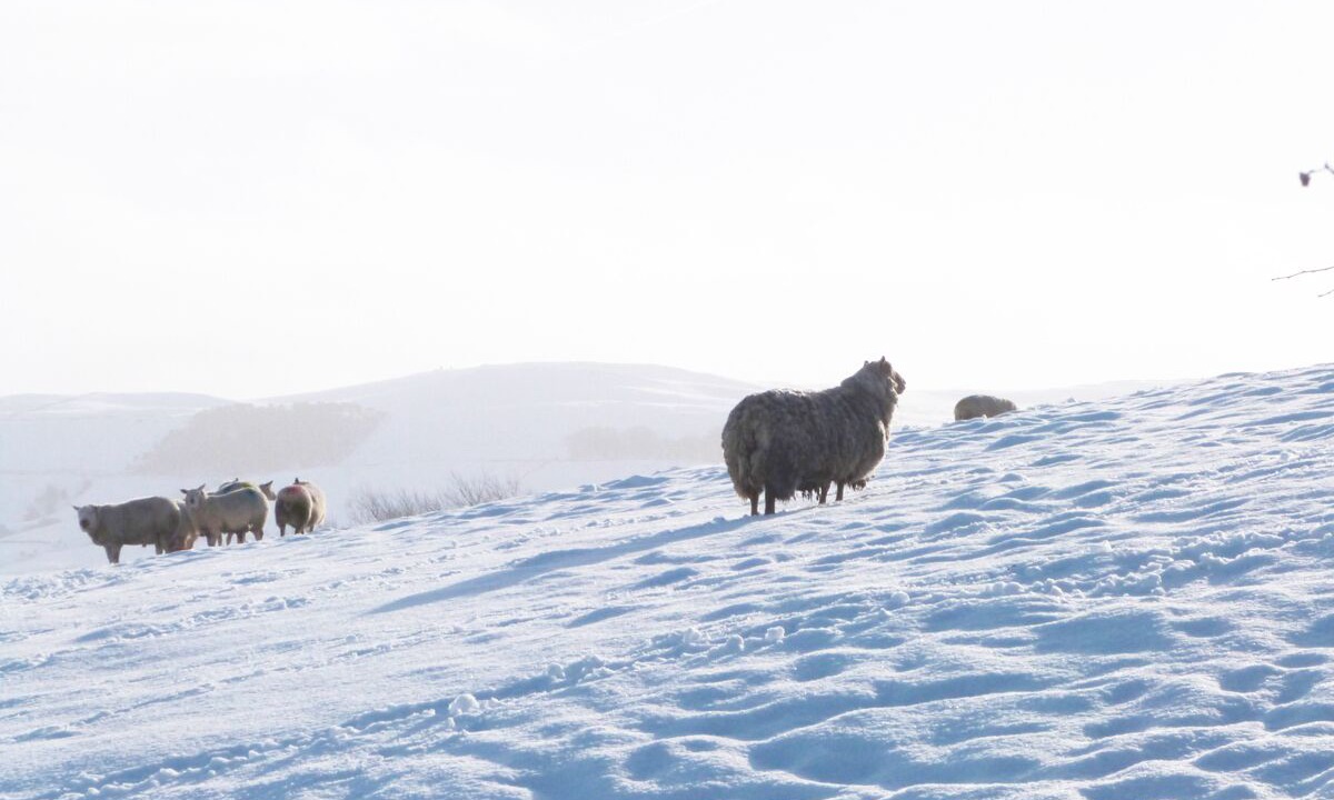 Photo of Others in Lothersdale