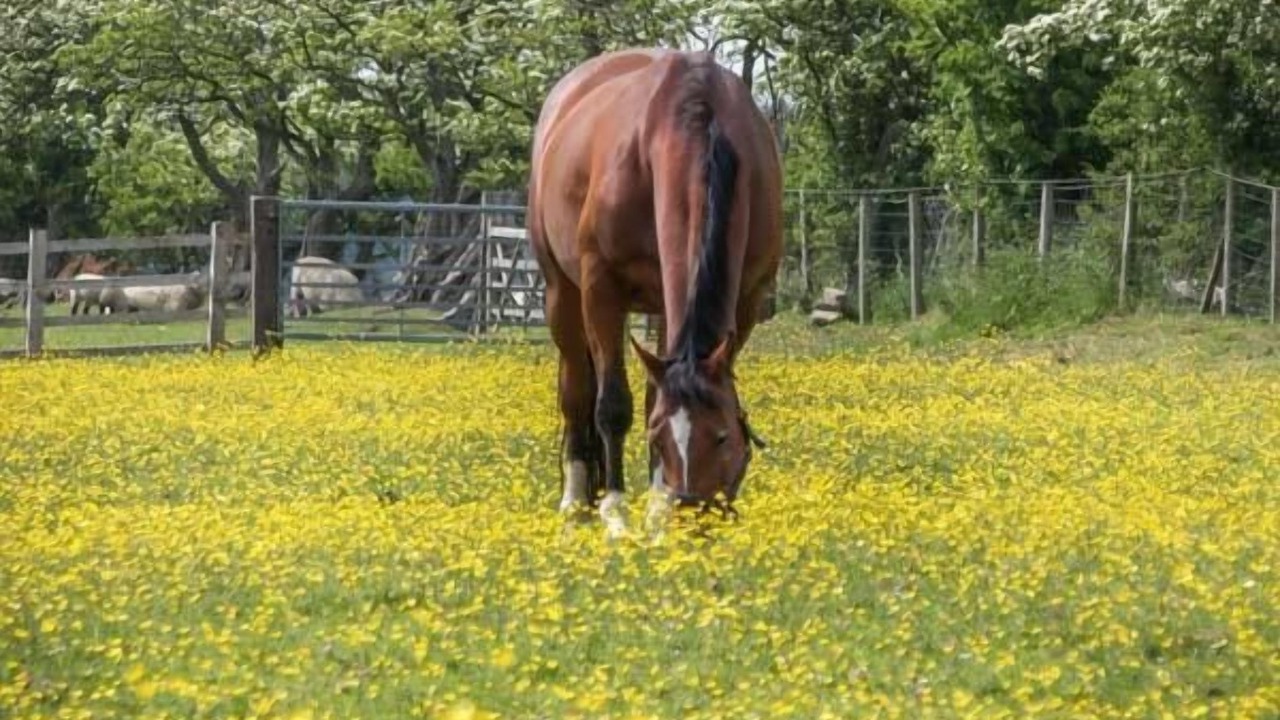 Photo of Others in Lothersdale