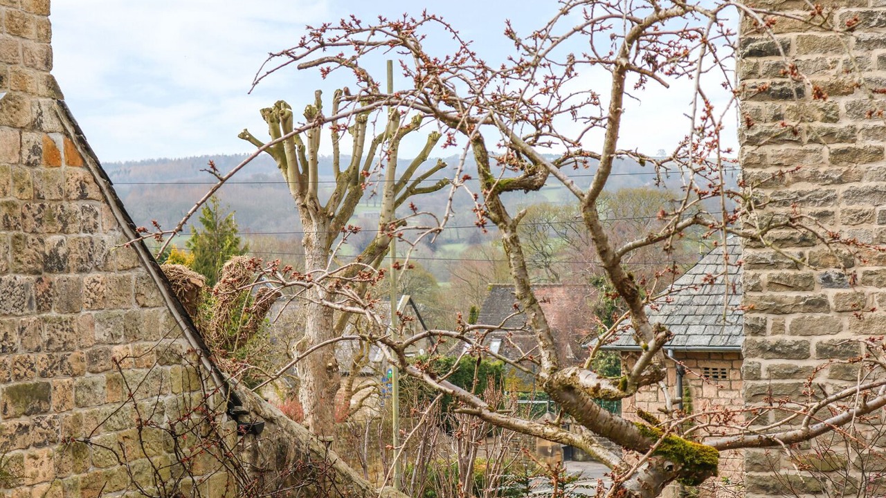 Photo of Others in Baslow