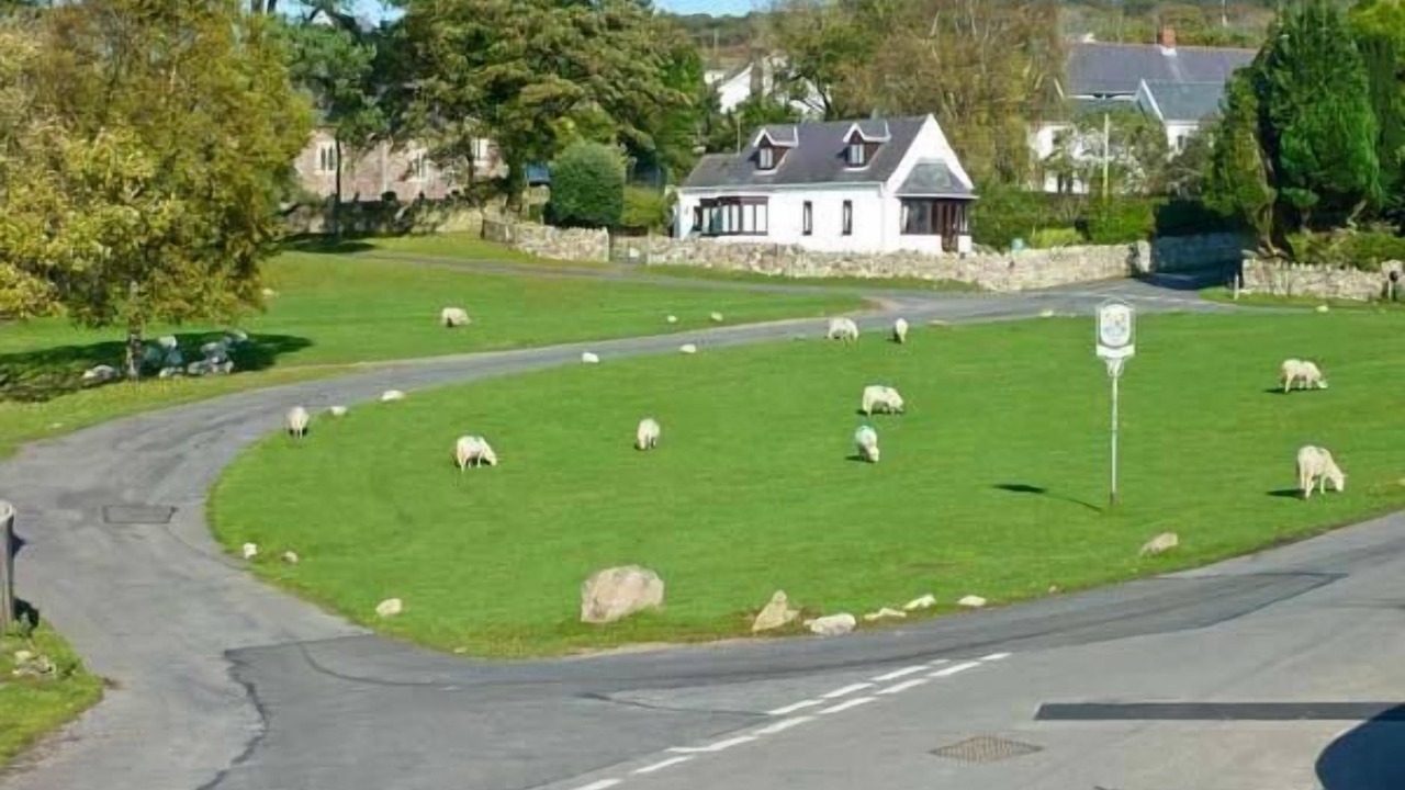 Photo of Others in Reynoldston