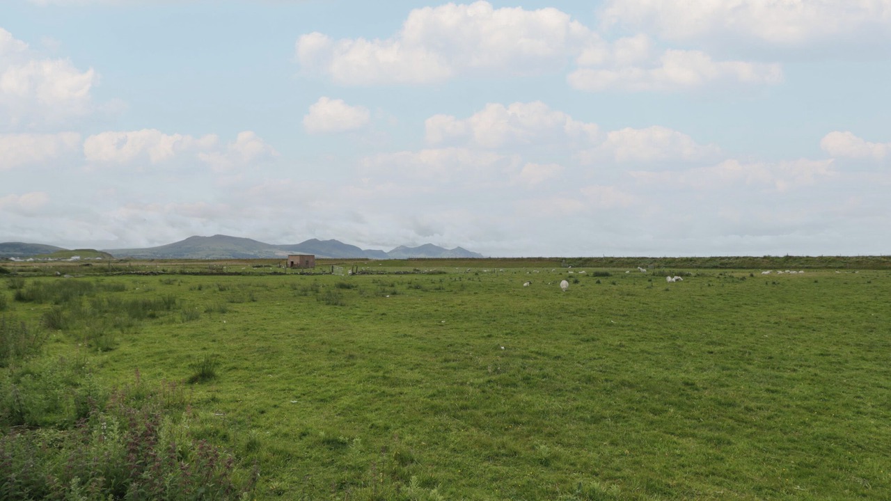Photo of Others in Dinas Dinlle