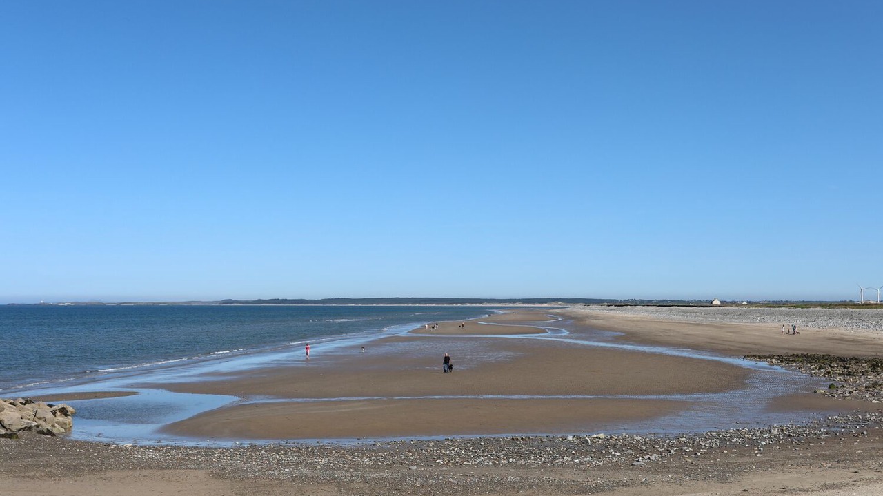 Photo of Others in Dinas Dinlle