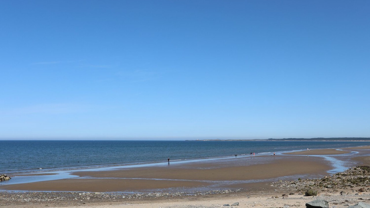 Photo of Others in Dinas Dinlle