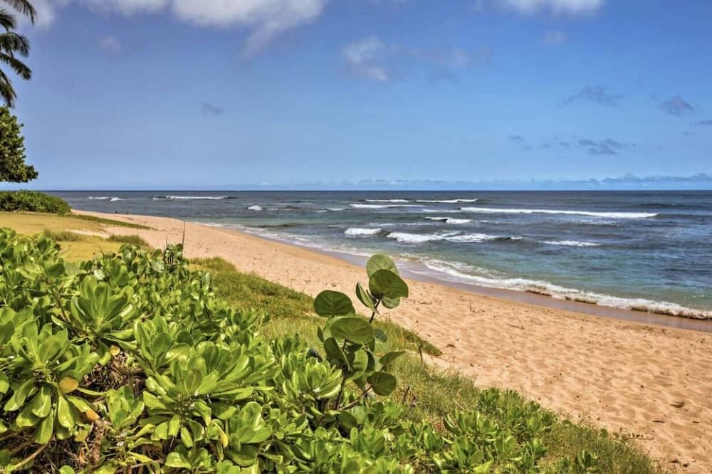 Photo of Others in Wahiawa