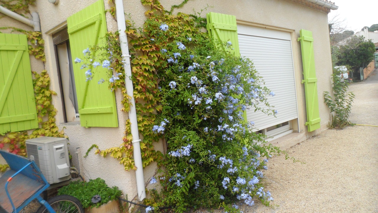 Photo of Outdoor in Bizanet