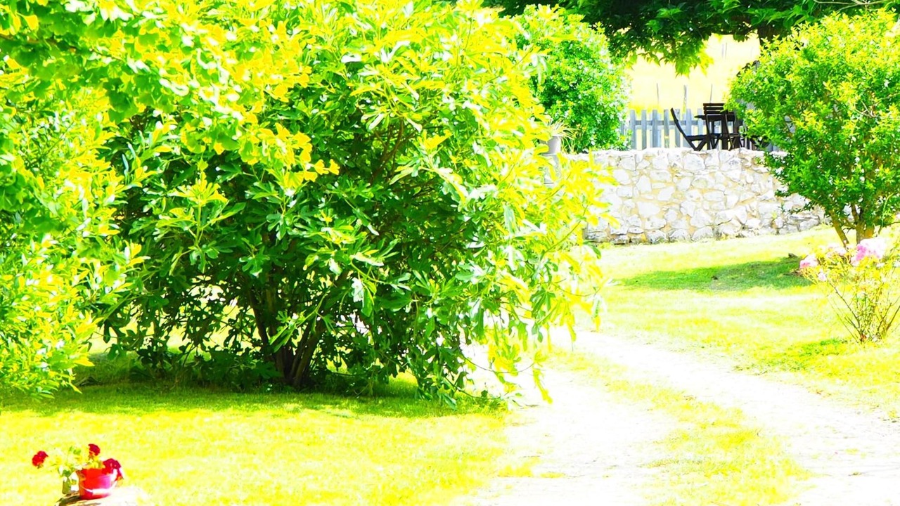 Photo of Outdoor in Grignols