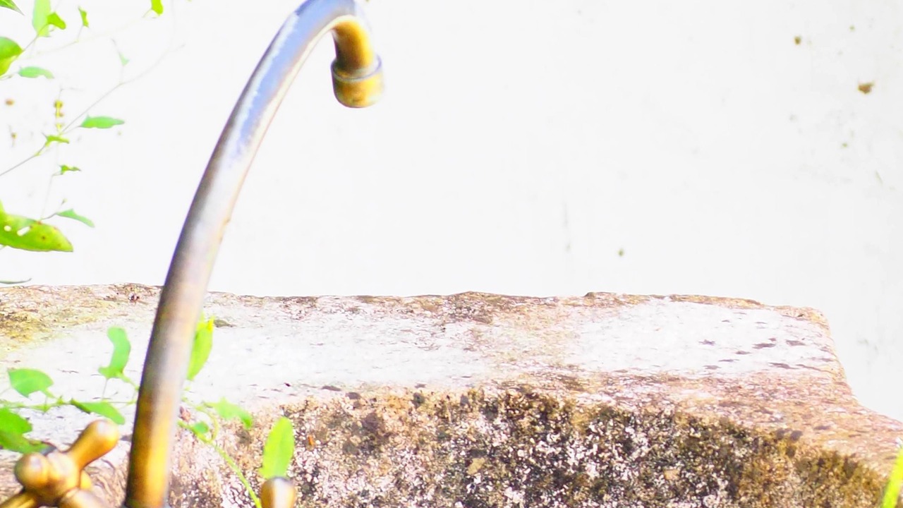 Photo of Outdoor in Grignols