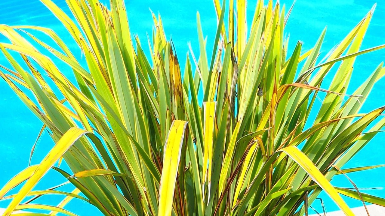 Photo of Outdoor in Grignols