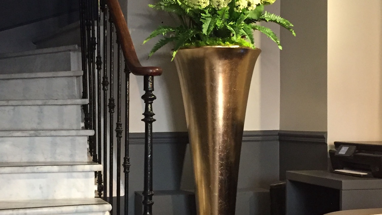 Photo of Others in Nice City Centre