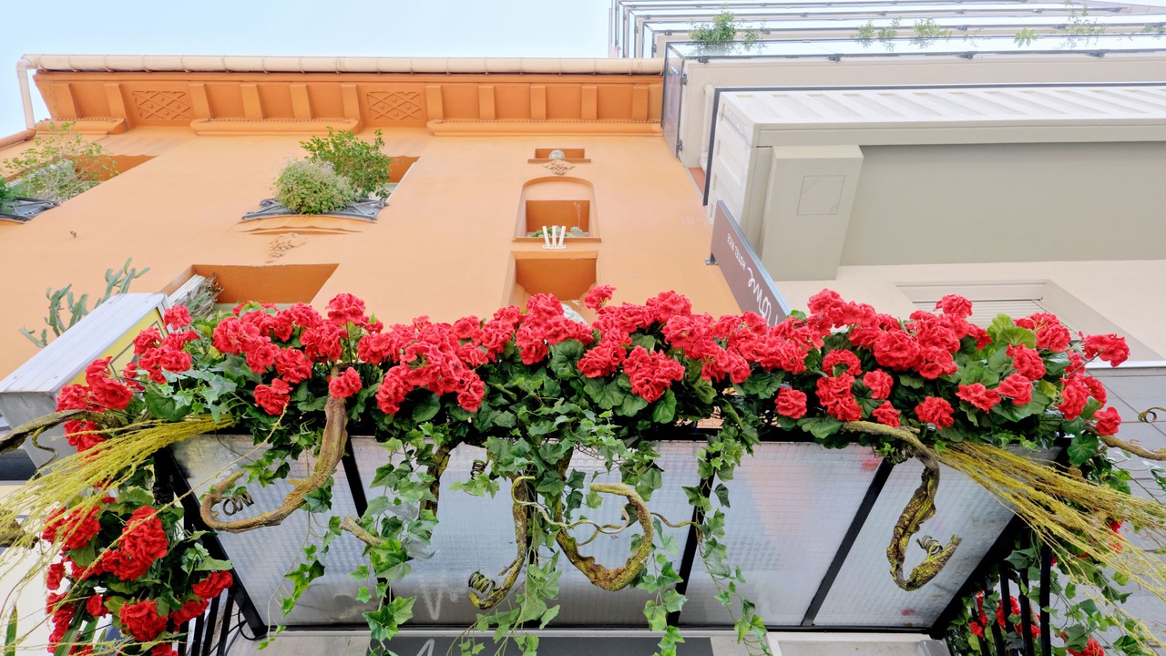 Photo of Outdoor in Nice City Centre