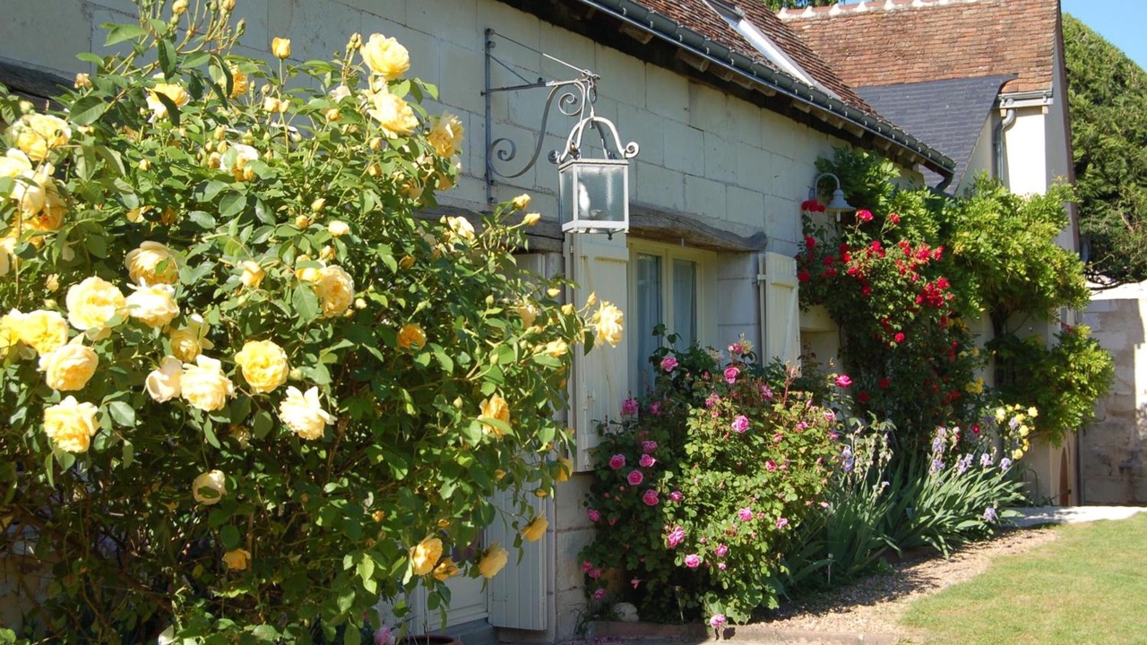 Photo of Outdoor in Saint-Genouph