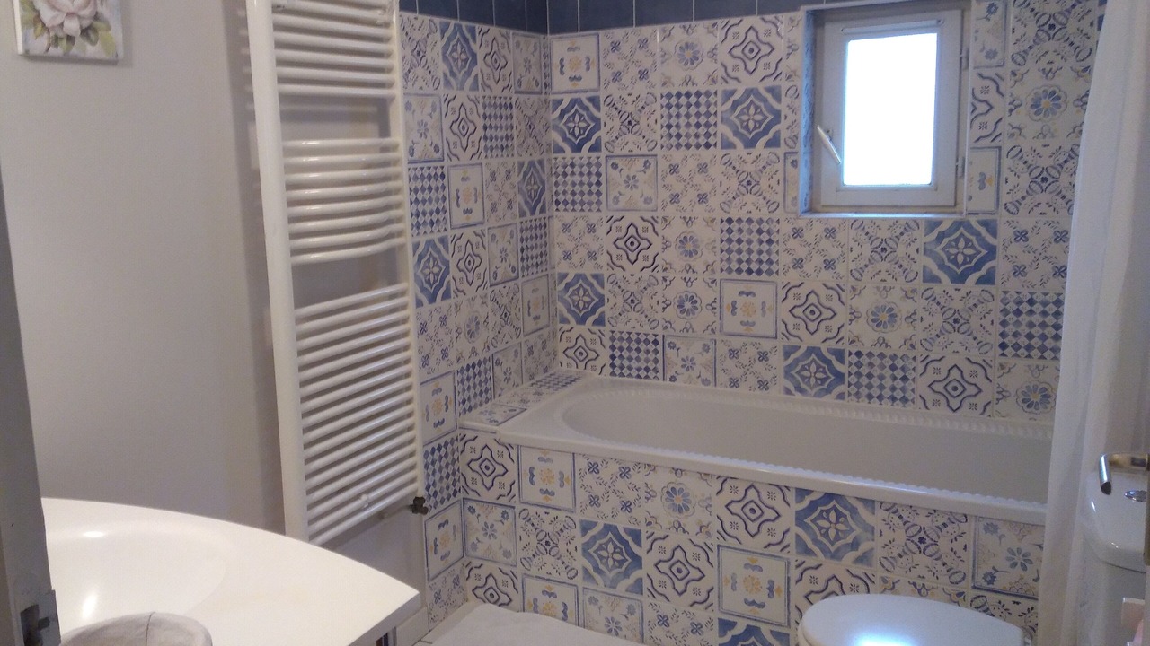 Photo of Bathroom in Saint-Genouph