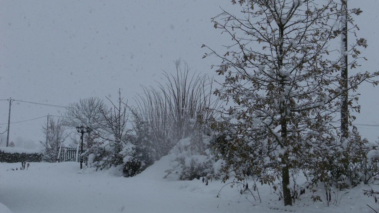 Photo of Outdoor in Roz-sur-Couesnon