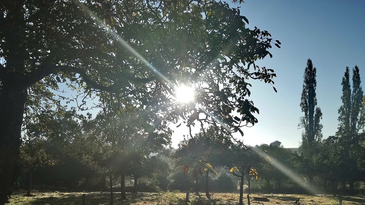 Photo of Outdoor in Tinchebray-Bocage