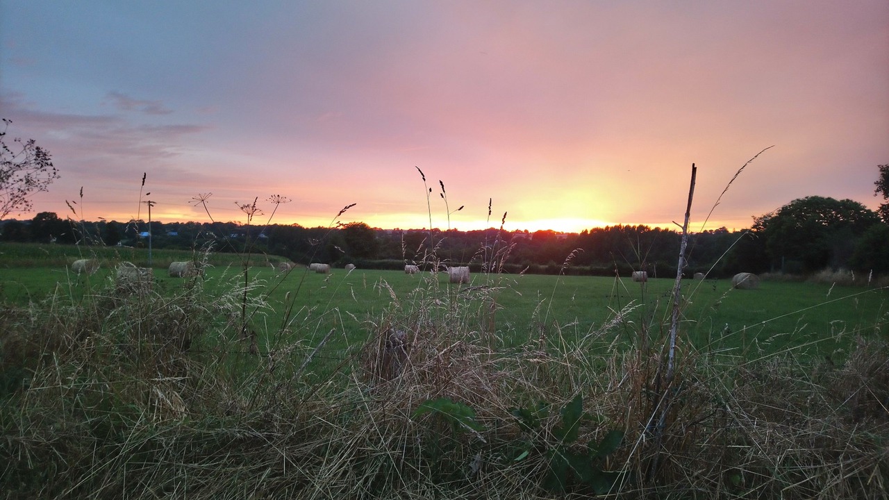 Photo of Outdoor in Tinchebray-Bocage