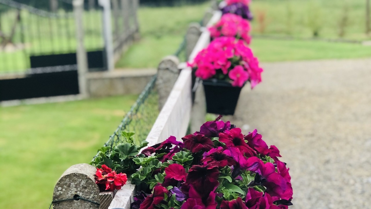 Photo of Outdoor in Tinchebray-Bocage