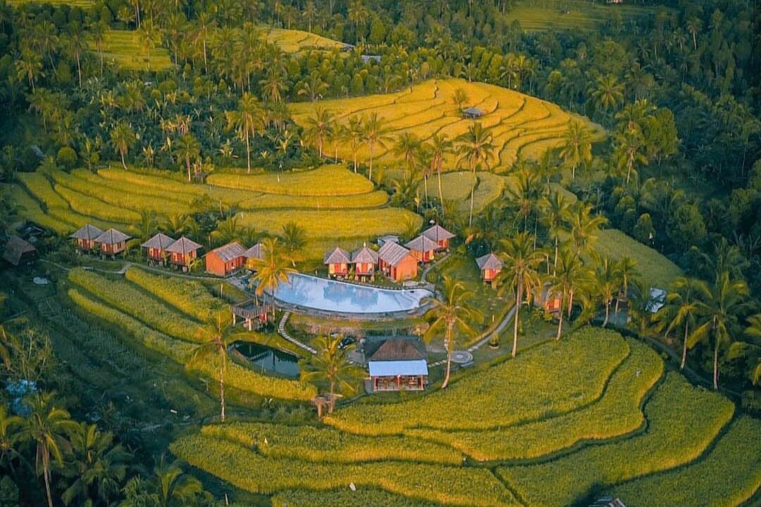 Photo of Outdoor in Munduk