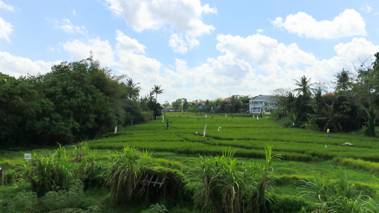 Photo of Outdoor in Babakan