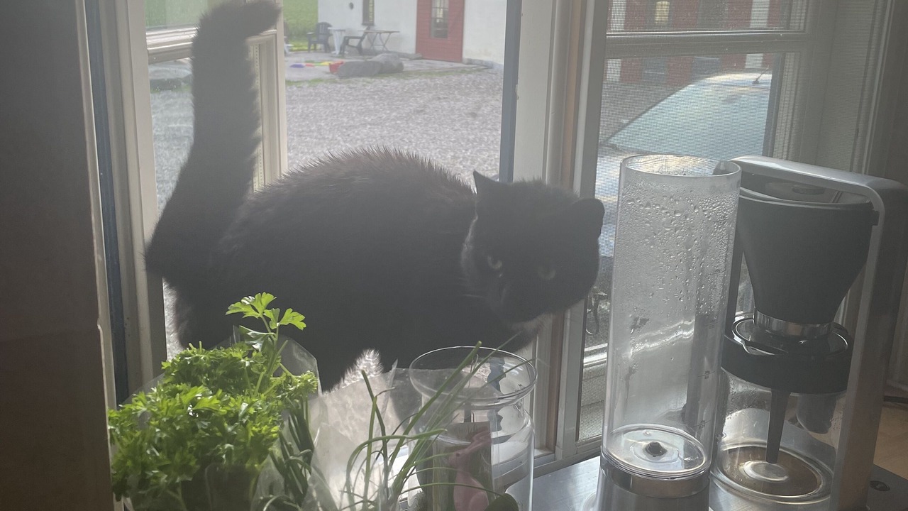 Photo of Others in Aabenraa