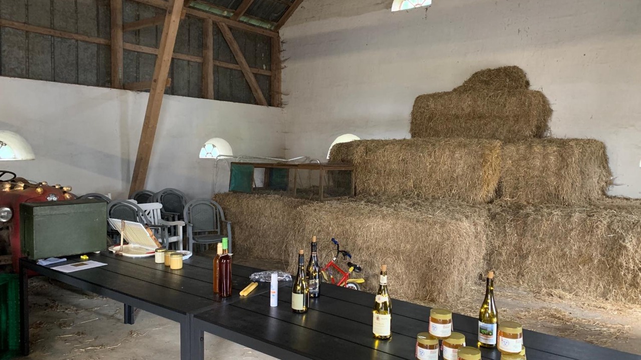 Photo of Others in Aabenraa