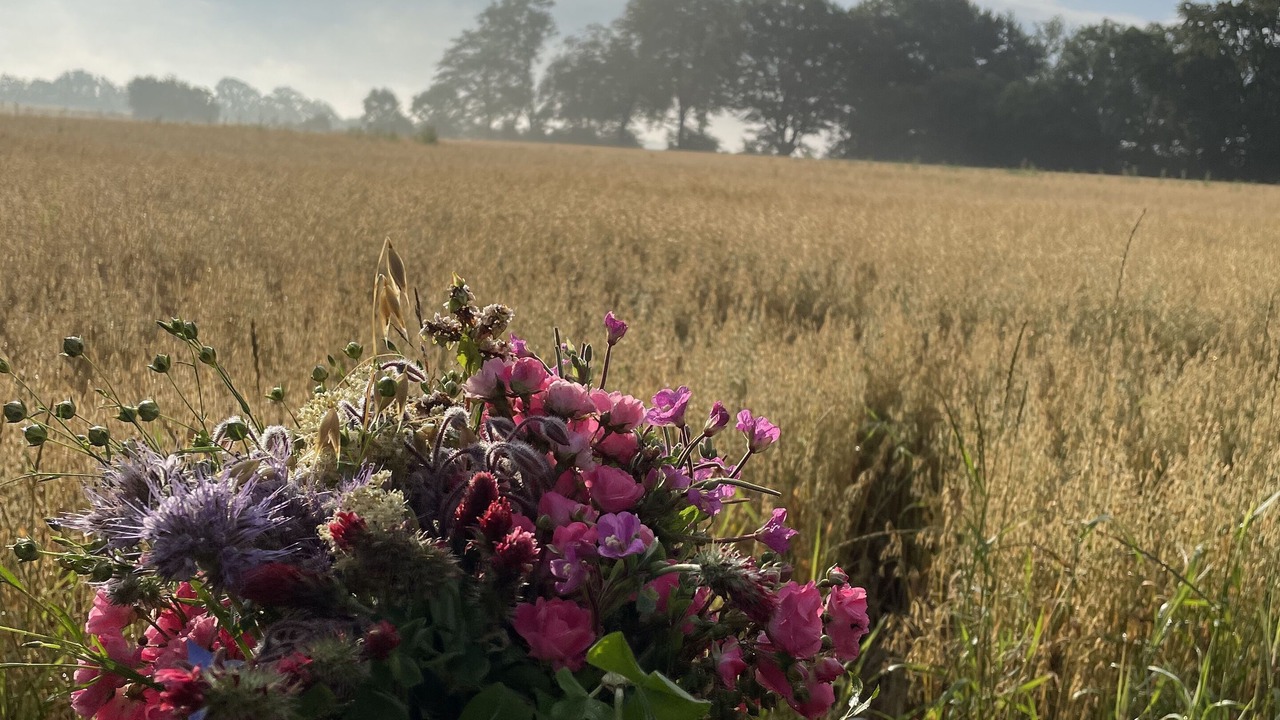 Photo of Others in Aabenraa