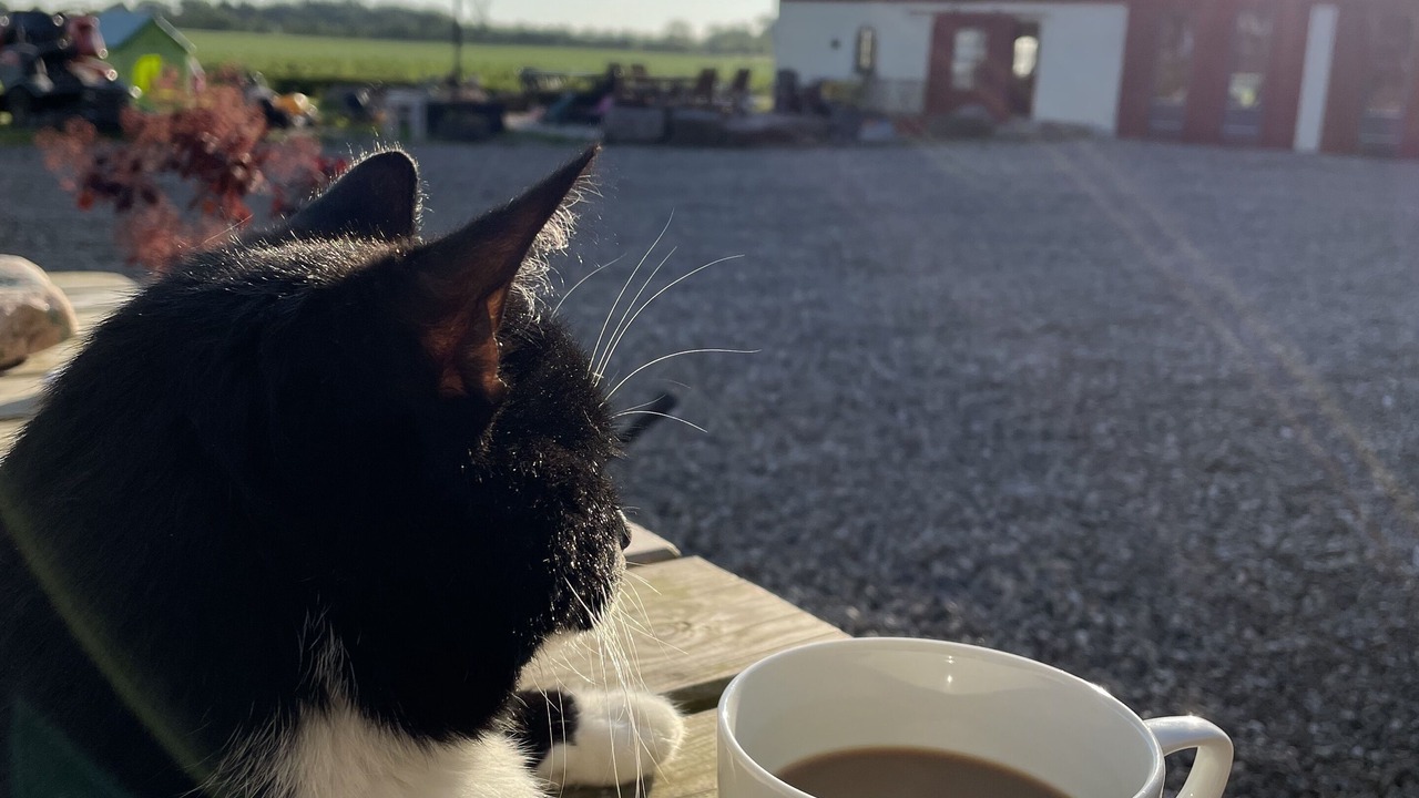 Photo of Others in Aabenraa