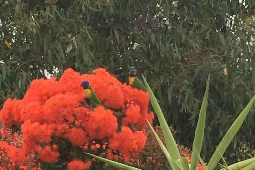 Photo of Outdoor in North Wonthaggi