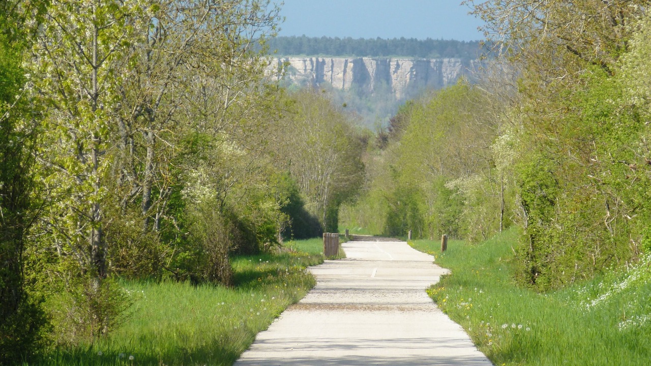 Photo of Others in Nolay