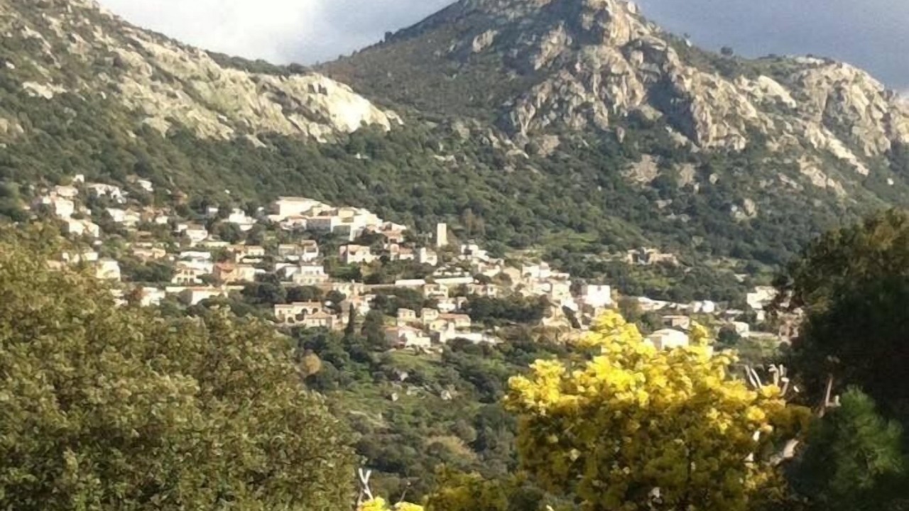 Photo of Others in Lumio