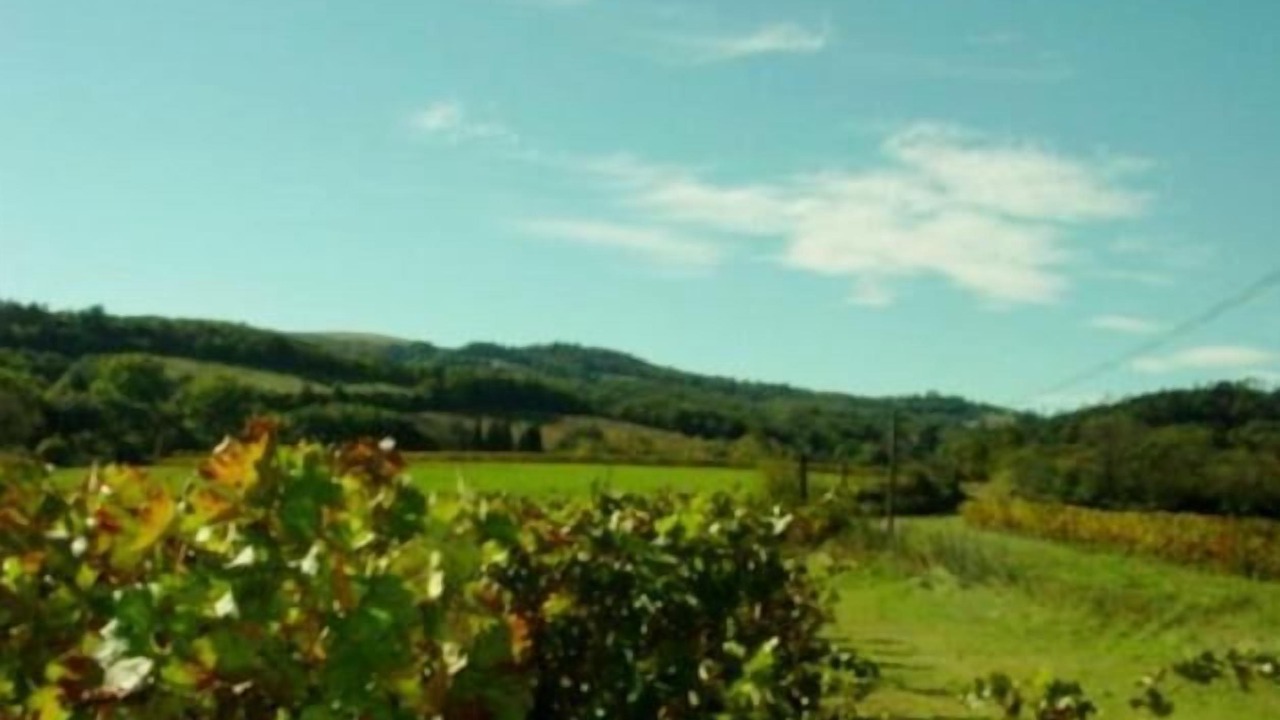 Photo of Outdoor in Arzens