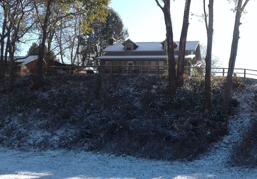 Photo of Outdoor in Mountain View