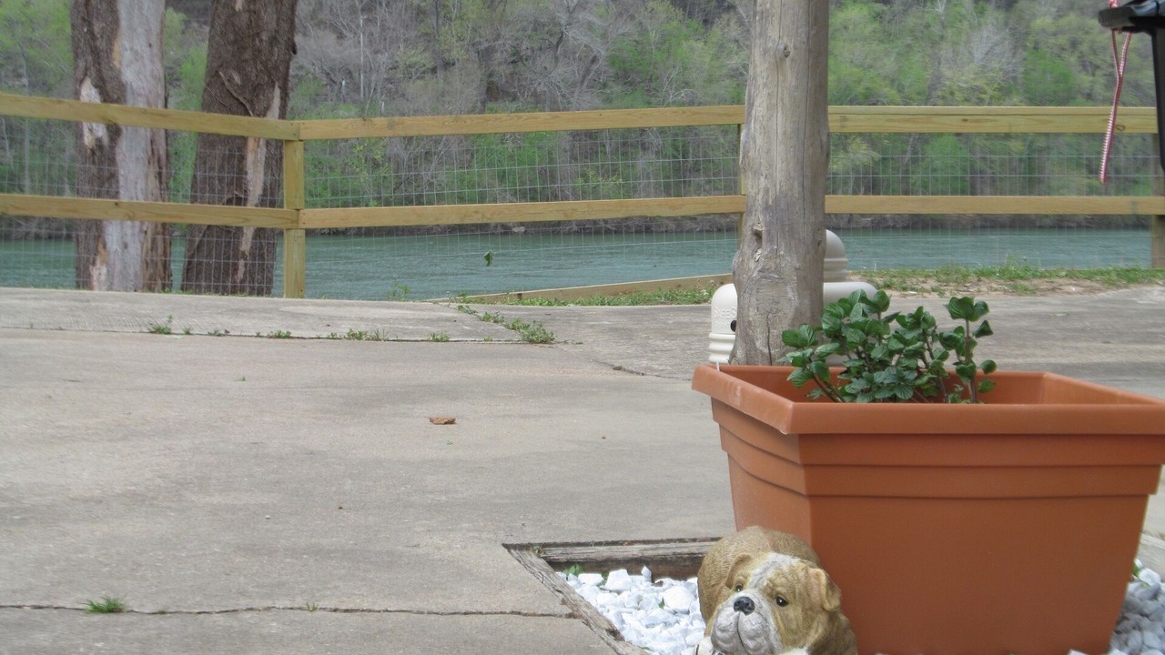 Photo of Outdoor in Mountain View