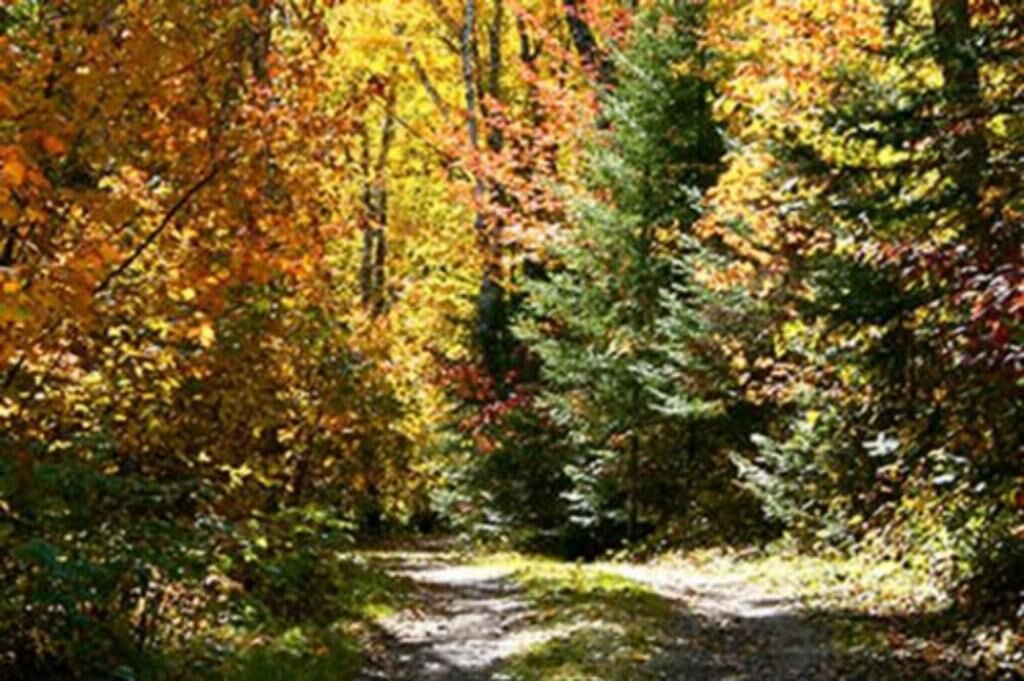 Photo of Outdoor in Walker